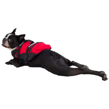 Chargez l'image dans la visionneuse de la galerie, Gilet de sauvetage pour chien NRS CFD-Rouge