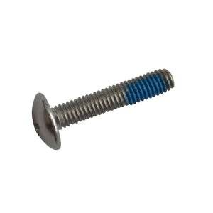Screw,Phillips pan head, stainless steel, WL(M5 x 25mm)