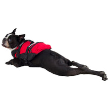 Load image into Gallery viewer, NRS CFD Dog Life Jacket-Red