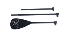 Load image into Gallery viewer, SUP paddle Pace 3pce carbon/plastic